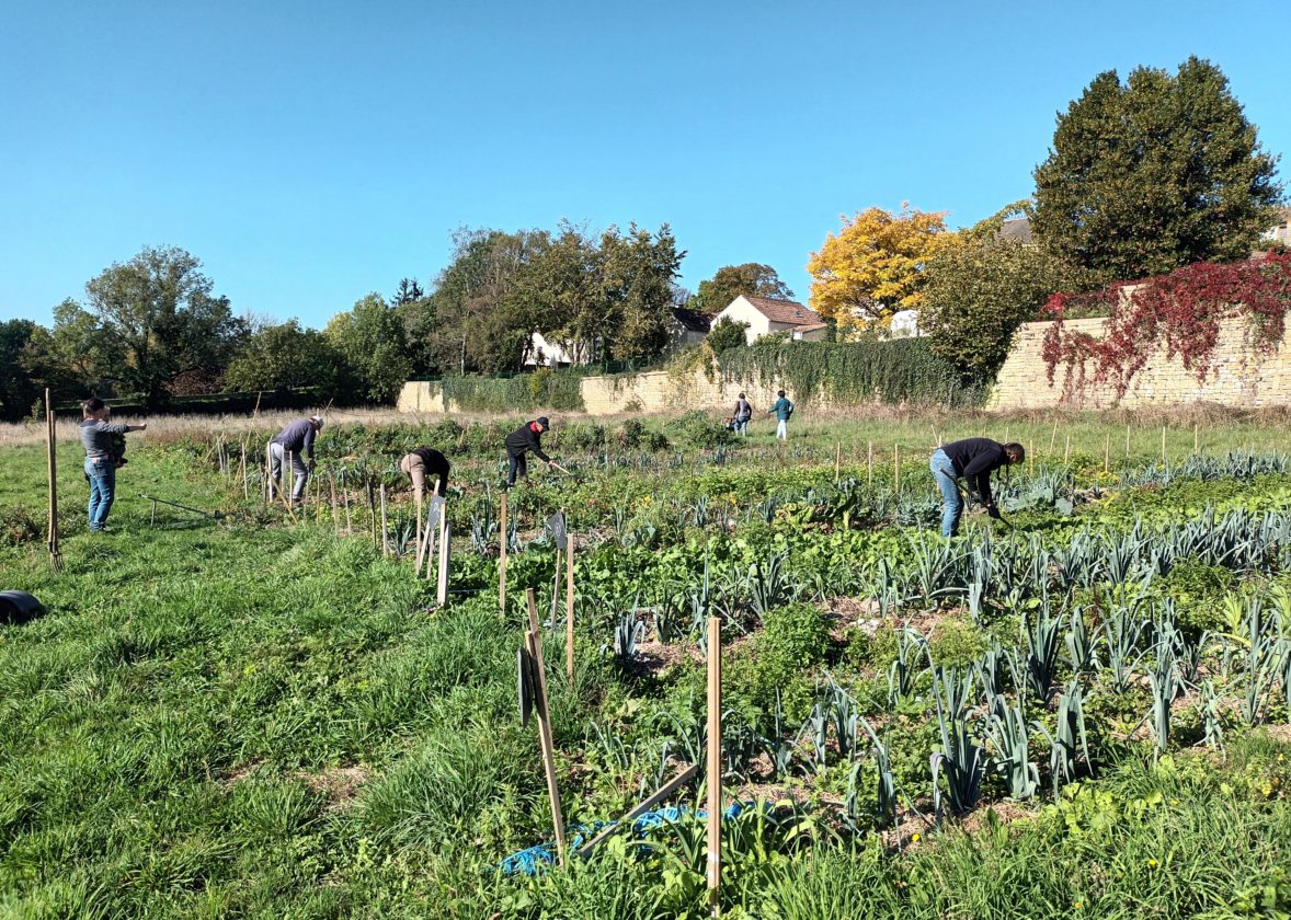 Juin : ateliers jardin