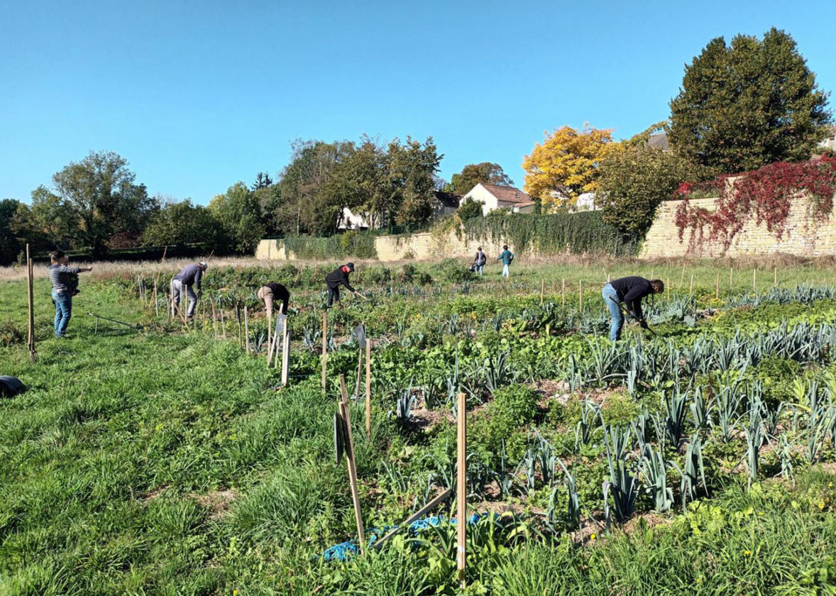 Chantier et échanges au jardin