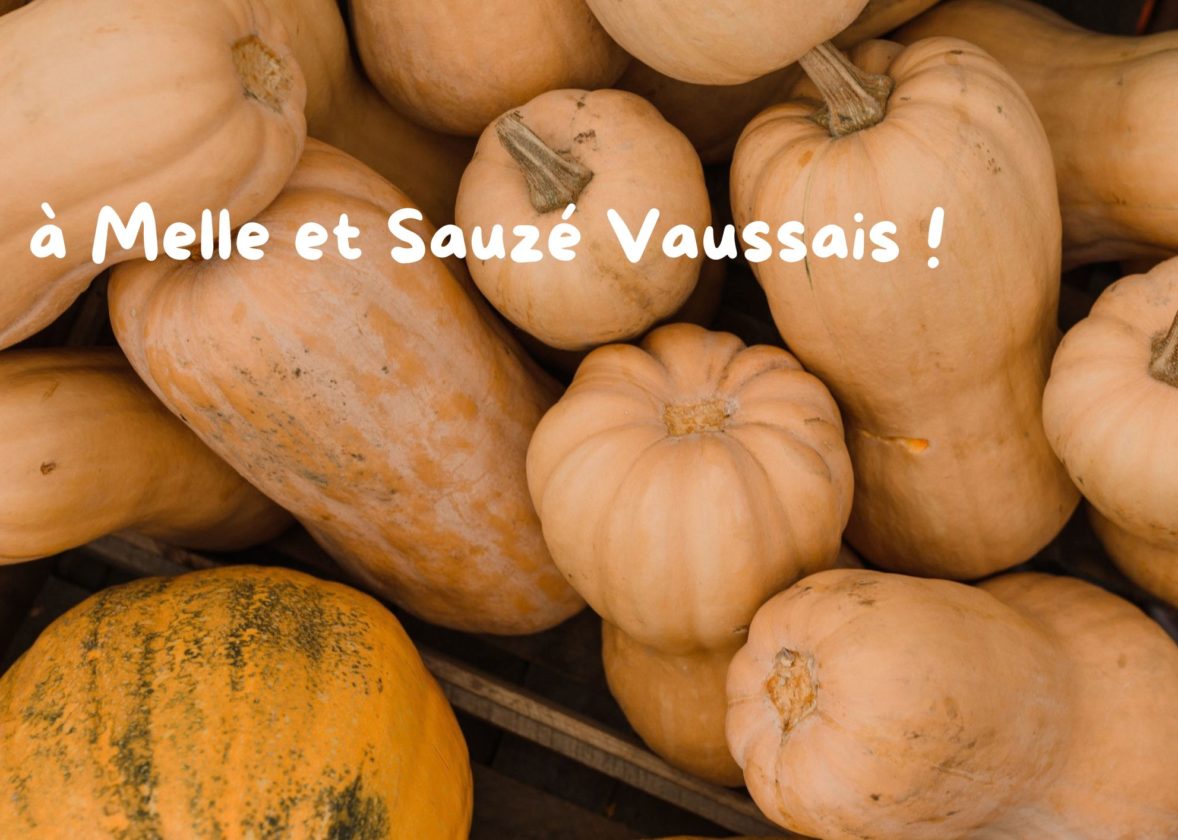 Octobre : ateliers Pâtes à tartiner de courges