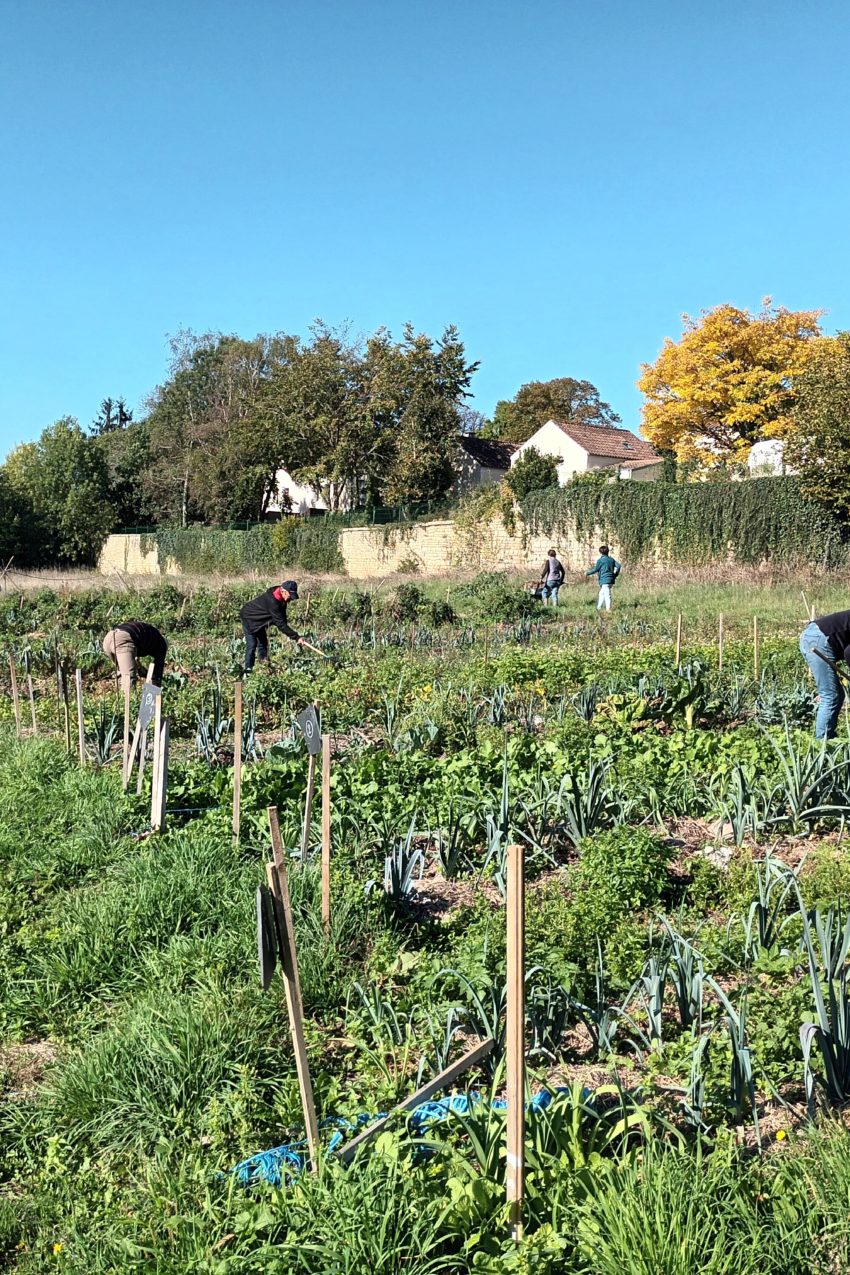 Juin : ateliers jardin