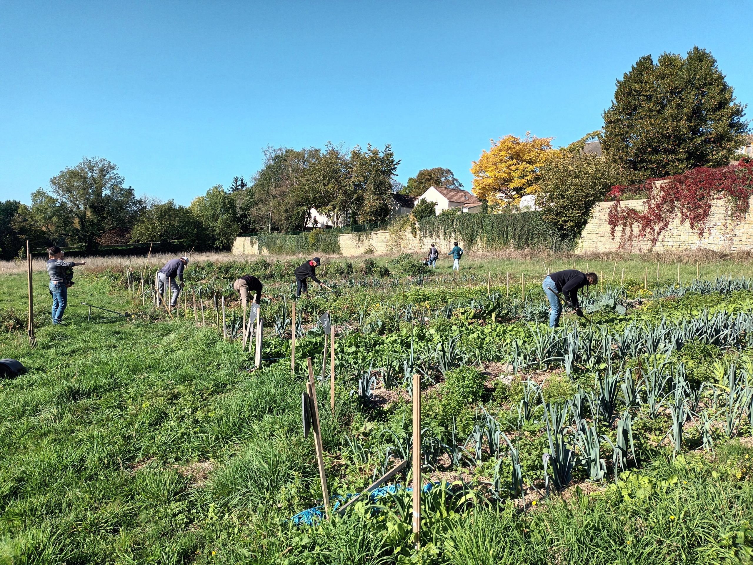 Juin : ateliers jardin