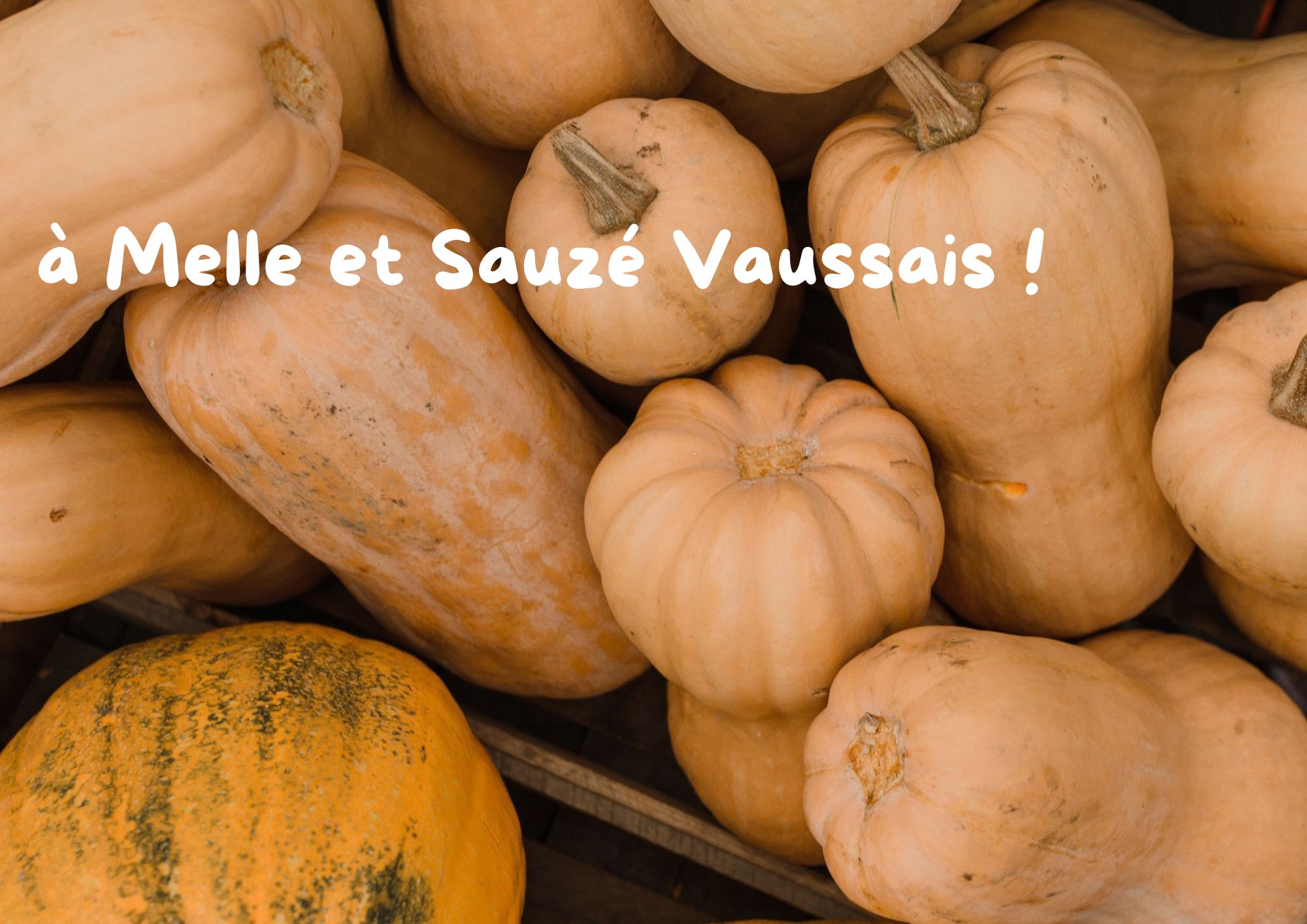 Octobre : ateliers Pâtes à tartiner de courges